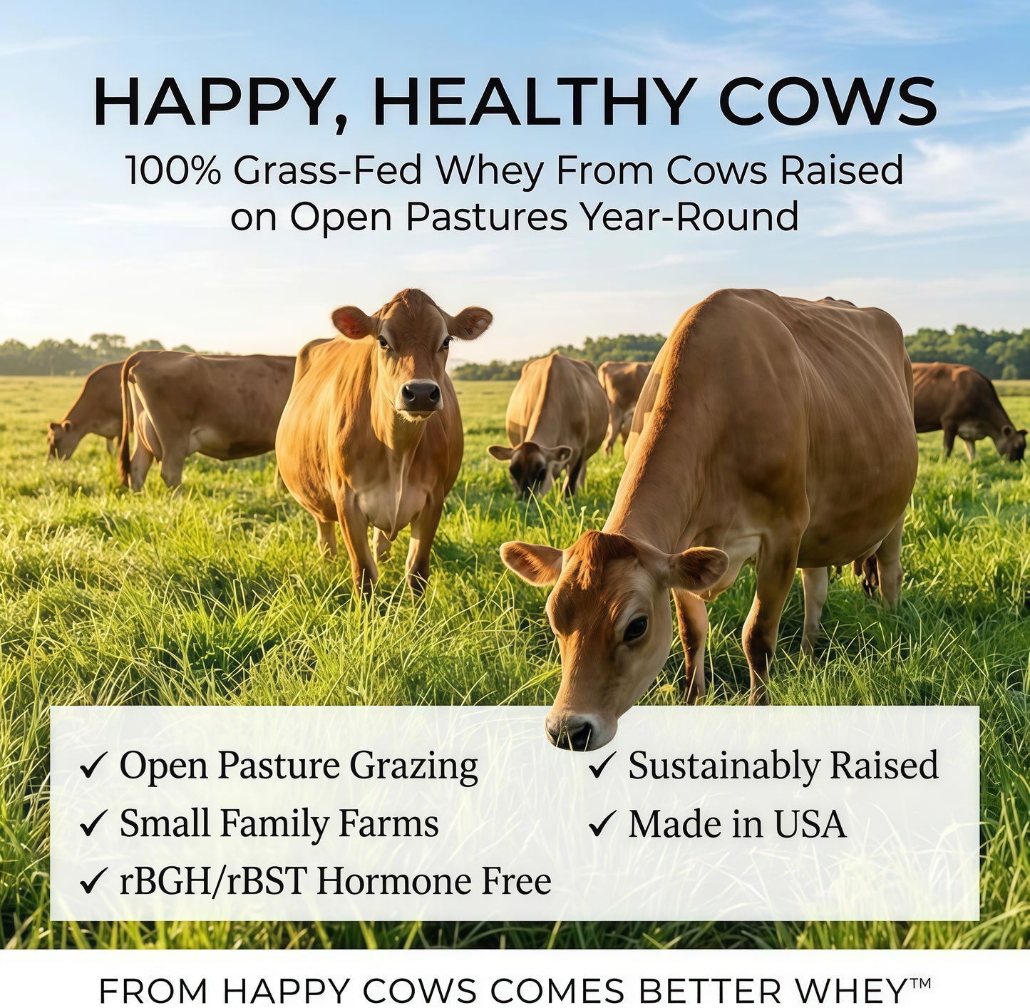 Raw Grass Fed Whey